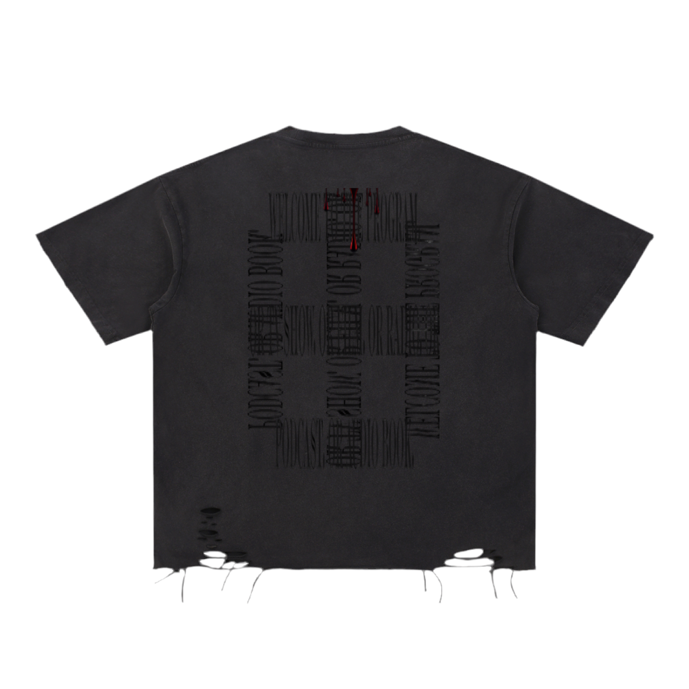 SABEGRE Muted Snow Washed Raw-Hem T-Shirt